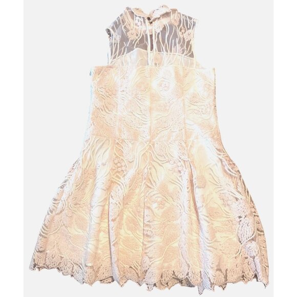 Nanette Lepore Sheer Pink Bella Donna Dress 12 Lace Boho Coquette Embrodery - Picture 9 of 10